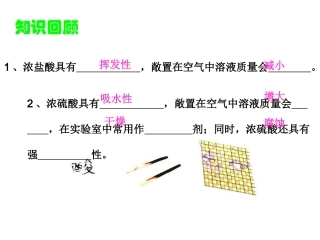 课题1常见的酸和碱课件3