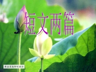 《短文两篇》