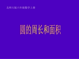 《圆的周长与面积》课件
