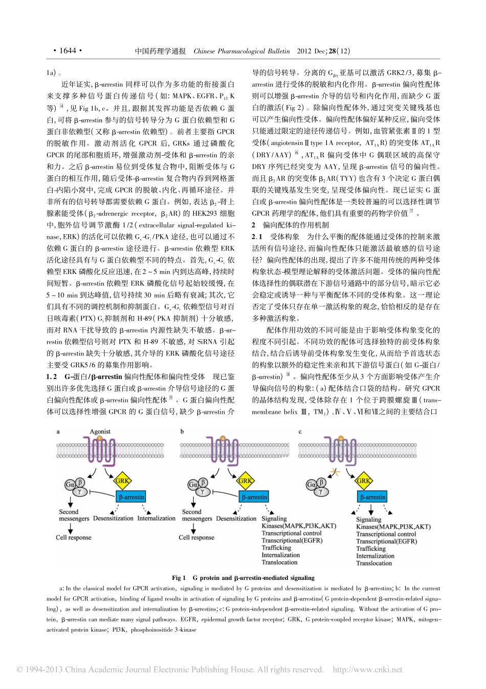 GPCR偏向性配体介导的选择性功能_刘路路_第2页