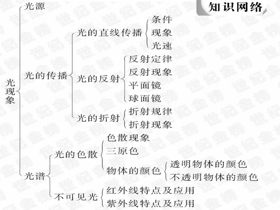 2013年中考物理总复习课件《光现象》_第2页