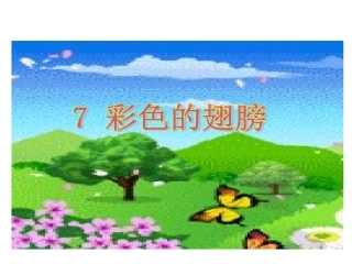 彩色的翅膀课件