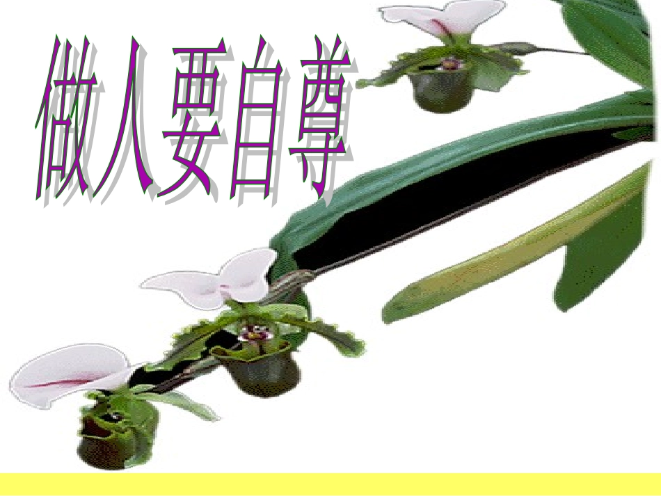 做人要自尊课件_第2页