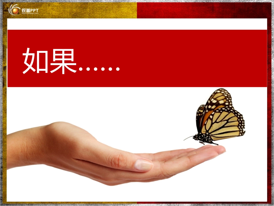 专业PPT设计师速成方案(1)_第2页