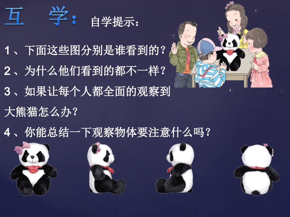 观察物体讲课_第3页