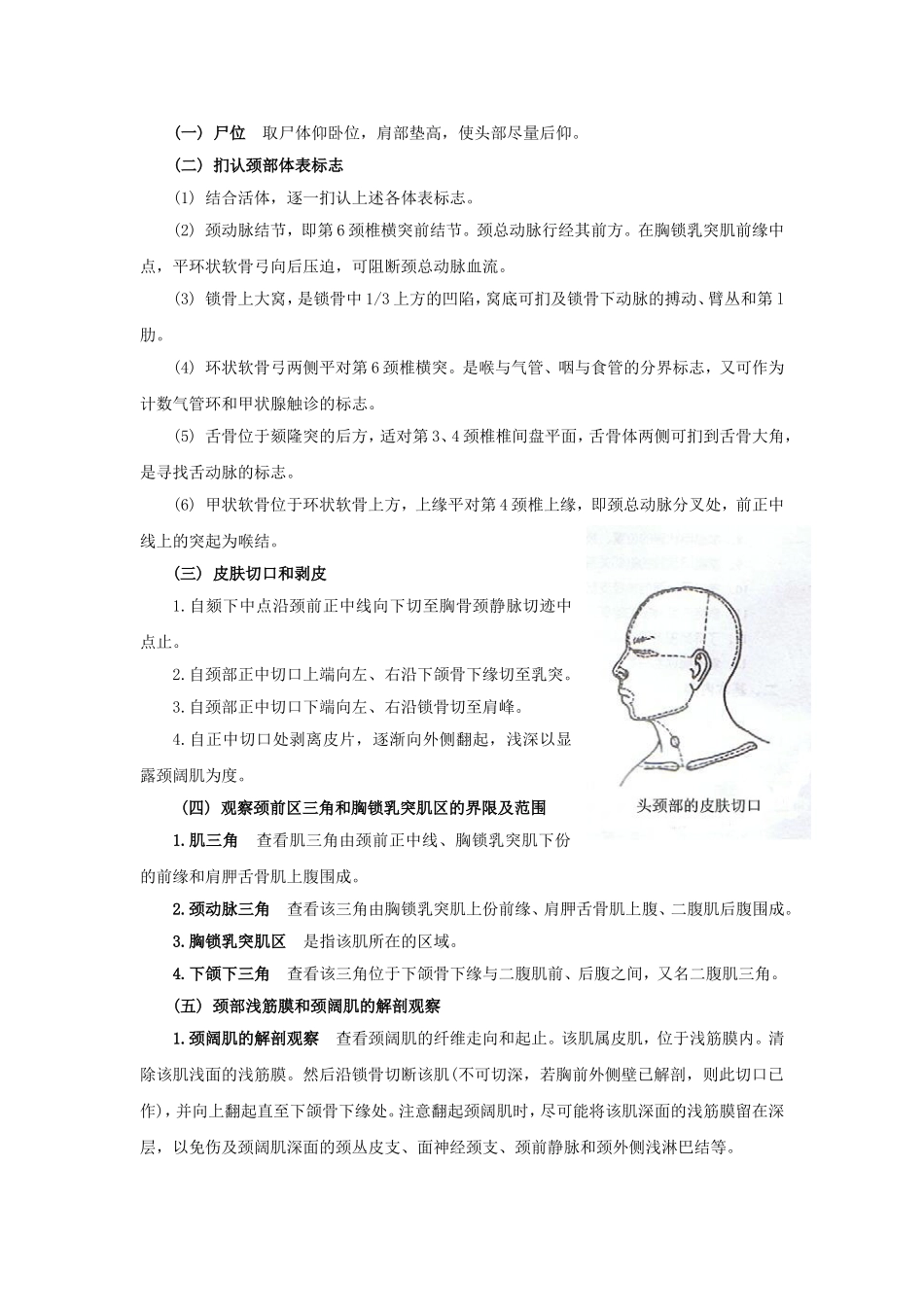 第八次解剖操作 颈前区、胸锁乳突肌区_第2页