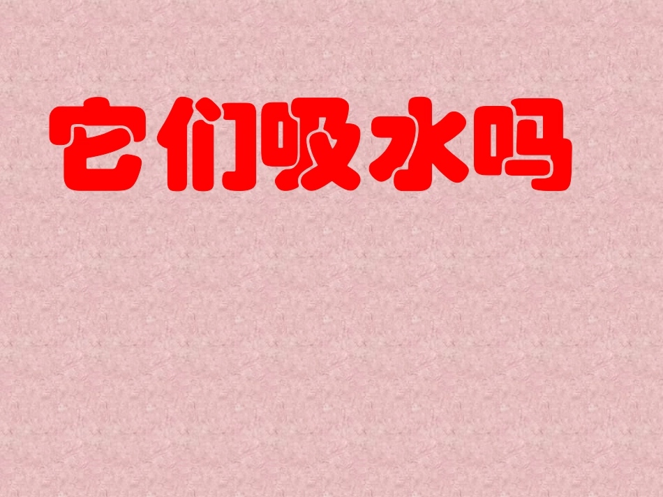 教科版科学三上《它们吸水吗》PPT_第1页
