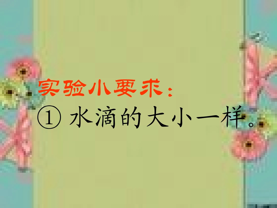 教科版科学三上《它们吸水吗》PPT_第2页