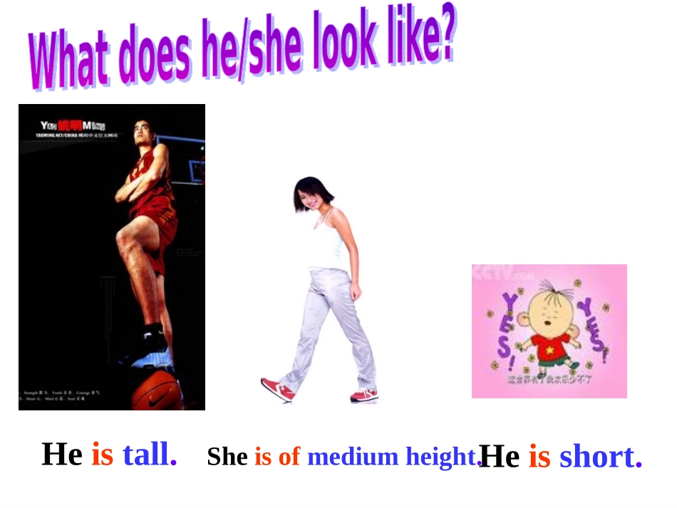 新目标英语七年级下Unit7sectionA课件[1]_第2页