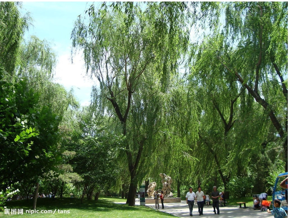 人教版小学一年级语文下册《柳树醒了》优秀课件__第2页