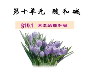课题1常见的酸和碱