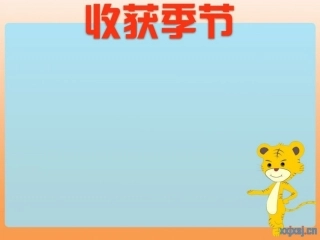 PPT模板—适用于小结