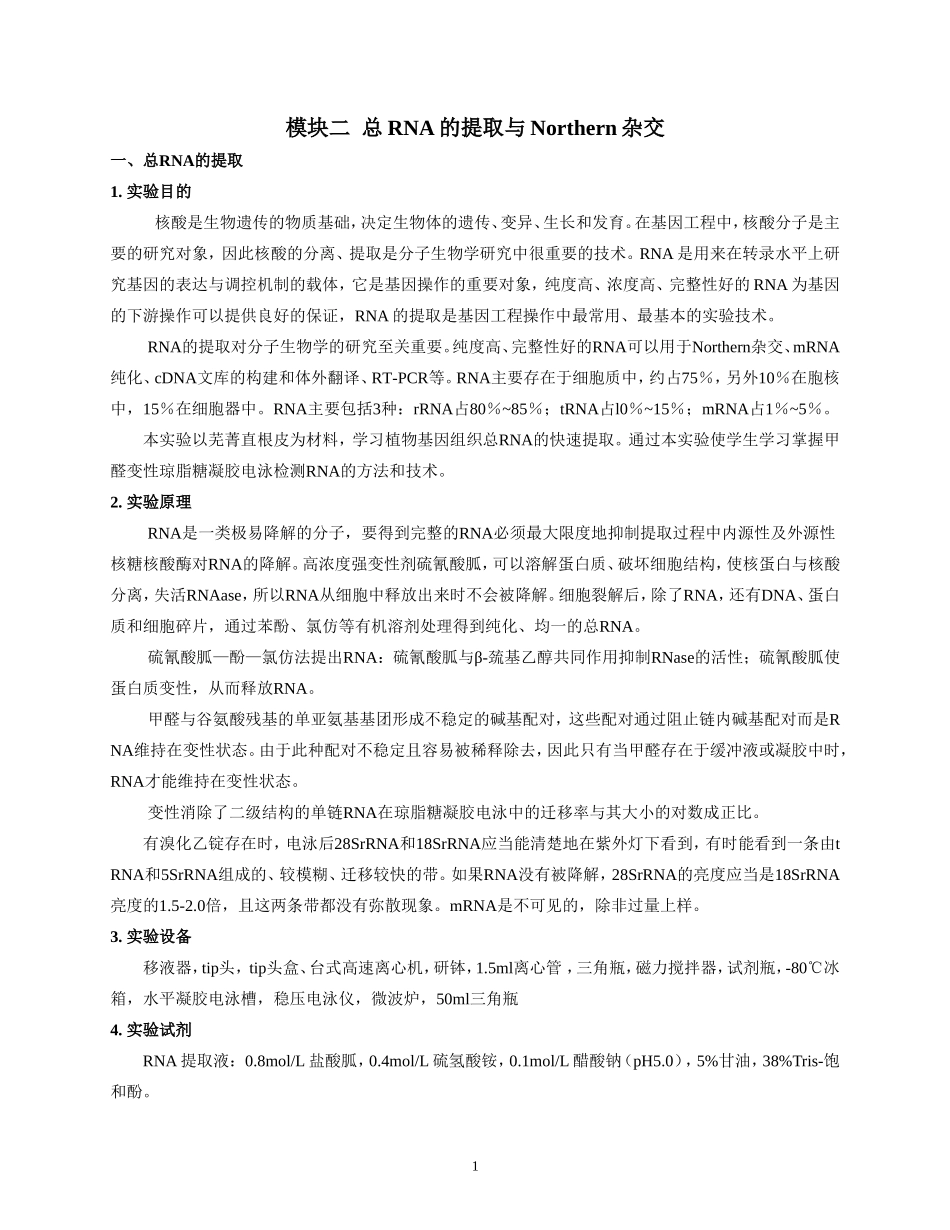 RNA提取和Northern blot_第1页