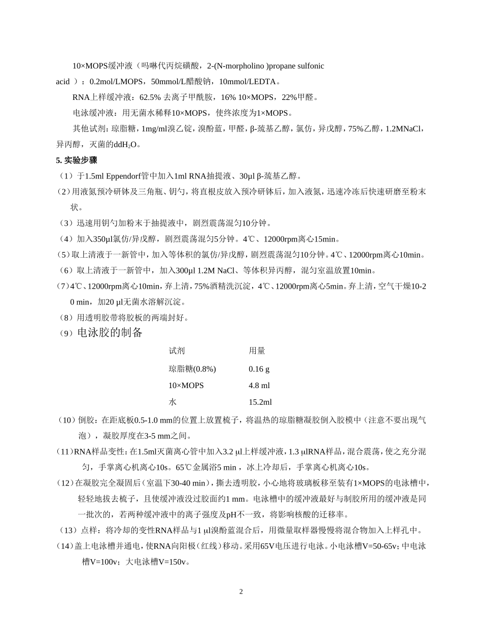 RNA提取和Northern blot_第2页