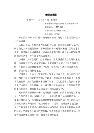 清明又想你翟婉婷文档
