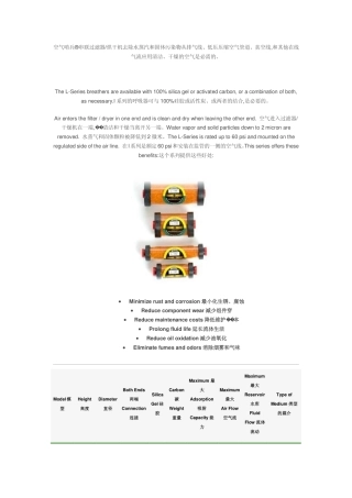 Air Sentry空气哨兵串联空气过滤器烘干机