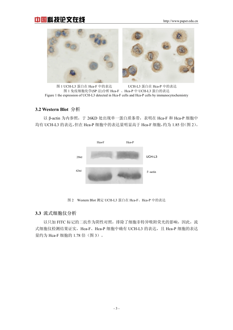 UCH-L3在小鼠腹水型肝癌高、低淋巴道转移株中的表达_第3页