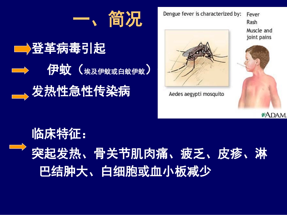 登革热知识课件 (1)_第3页