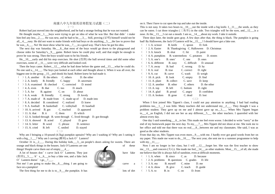 南康八中九年级英语寒假复习试题（二）_第1页