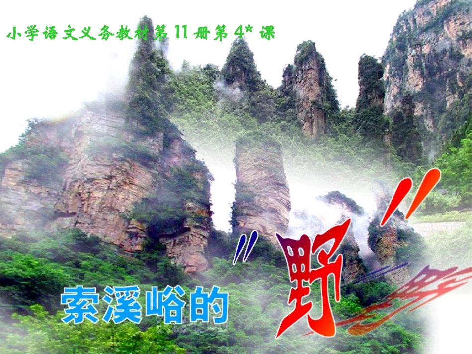 索溪峪的“野”_第3页