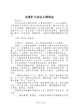 全委扩大会议心得体会_3