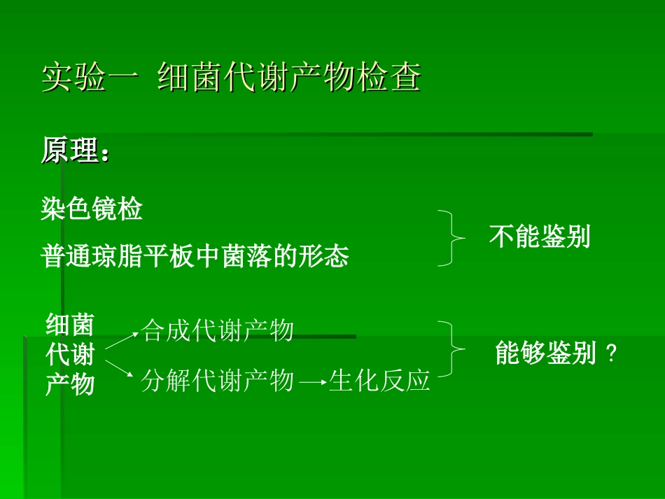 肠道细菌实验_第3页