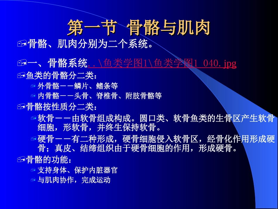 (形态学)鱼类学第三章_第3页