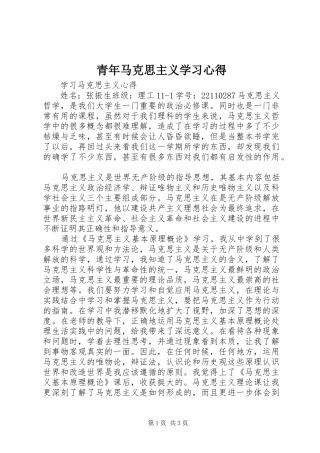 青年马克思主义学习心得