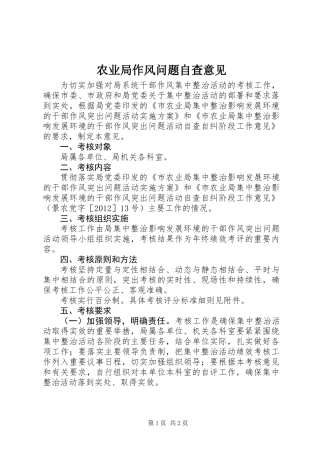 农业局作风问题自查意见