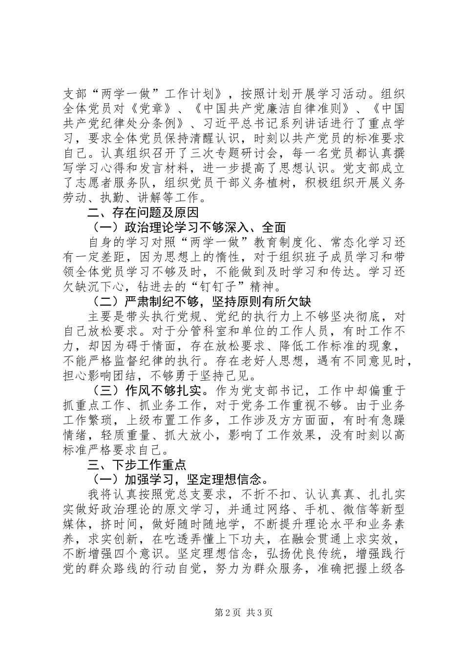 XX年党支部书记抓党建工作汇报_第2页