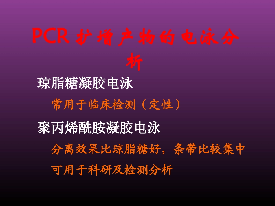 PCR扩增产物的分析_第2页