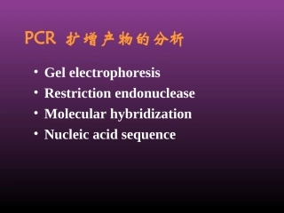 PCR扩增产物的分析