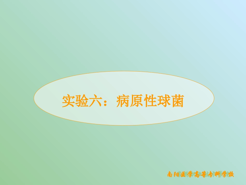 病原性球菌凝固酶_第1页