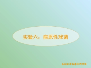 病原性球菌凝固酶