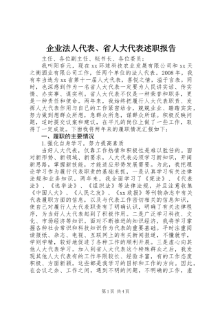 企业法人代表、省人大代表述职报告
