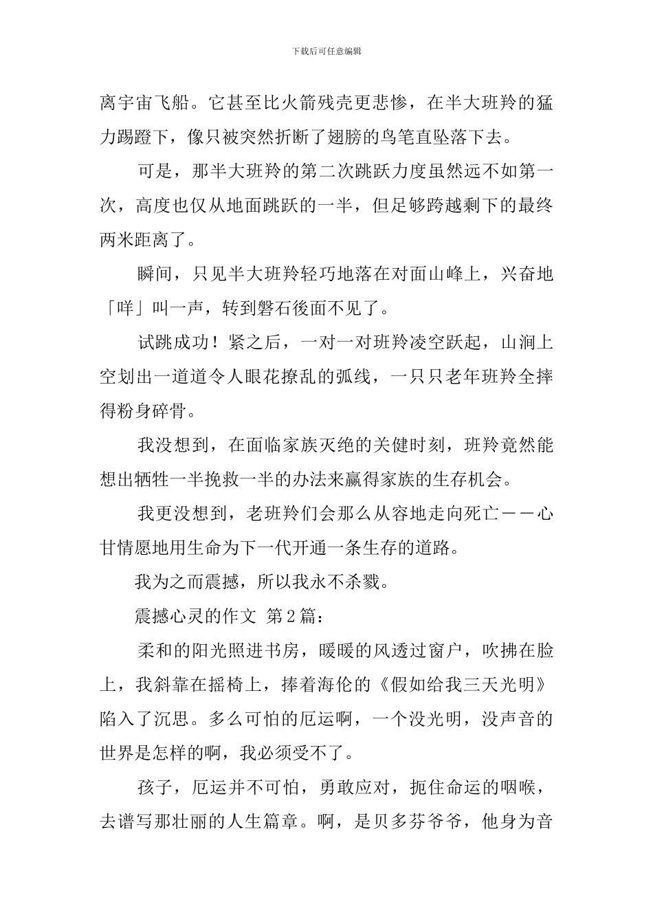 震撼心灵的作文_第3页
