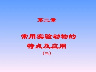 常用实验动物的特点及应用12