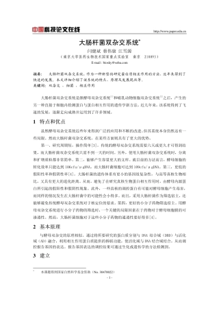 大肠杆菌双杂交系统