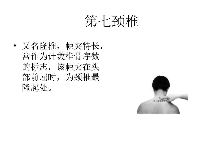 常见人体体表标志_第2页