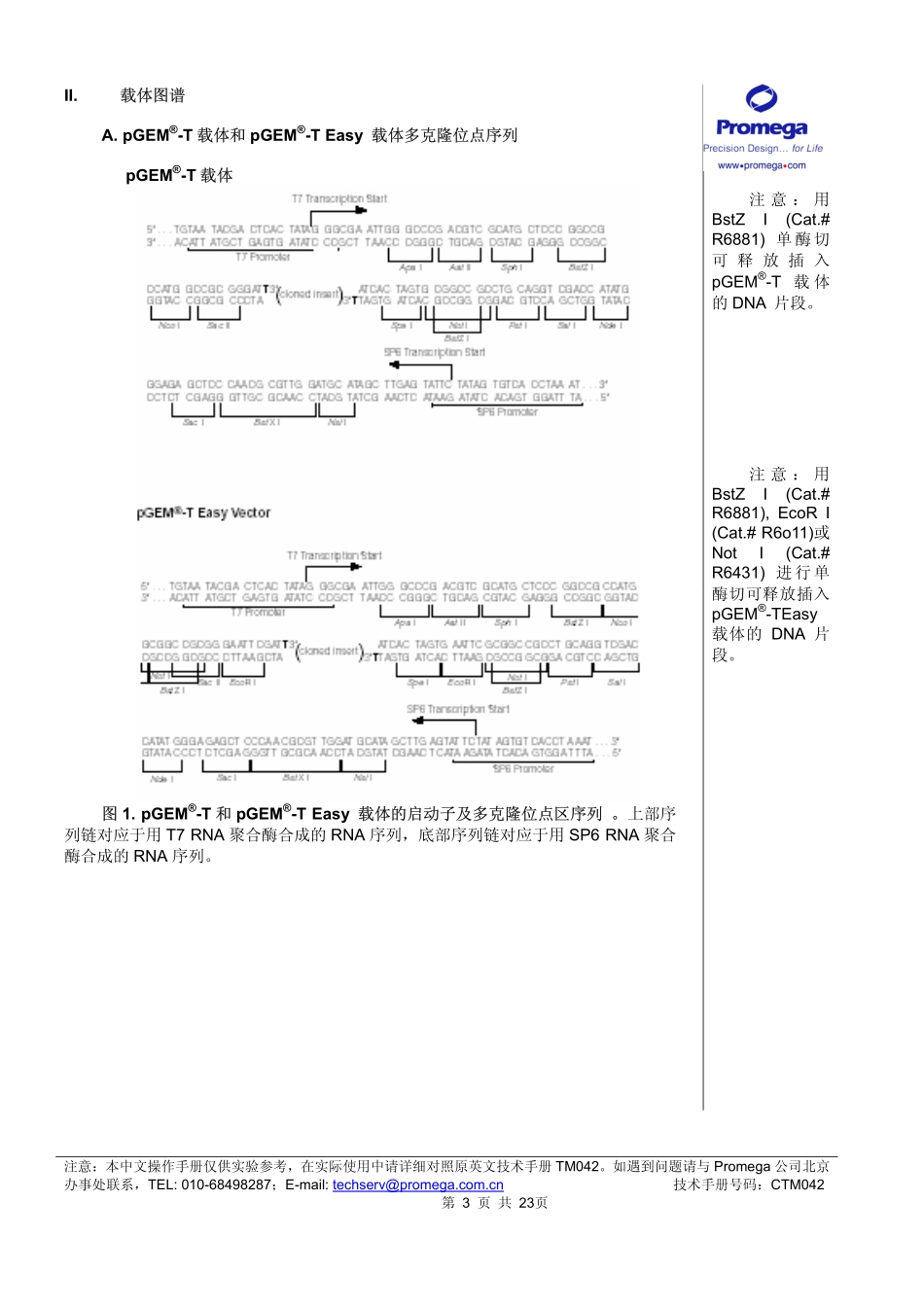 pGEM-T中文说明书_第3页
