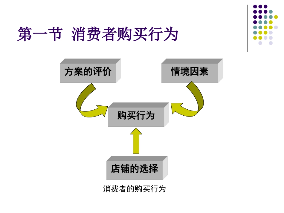 第八章 消费者的购买行为和购后过程_第3页