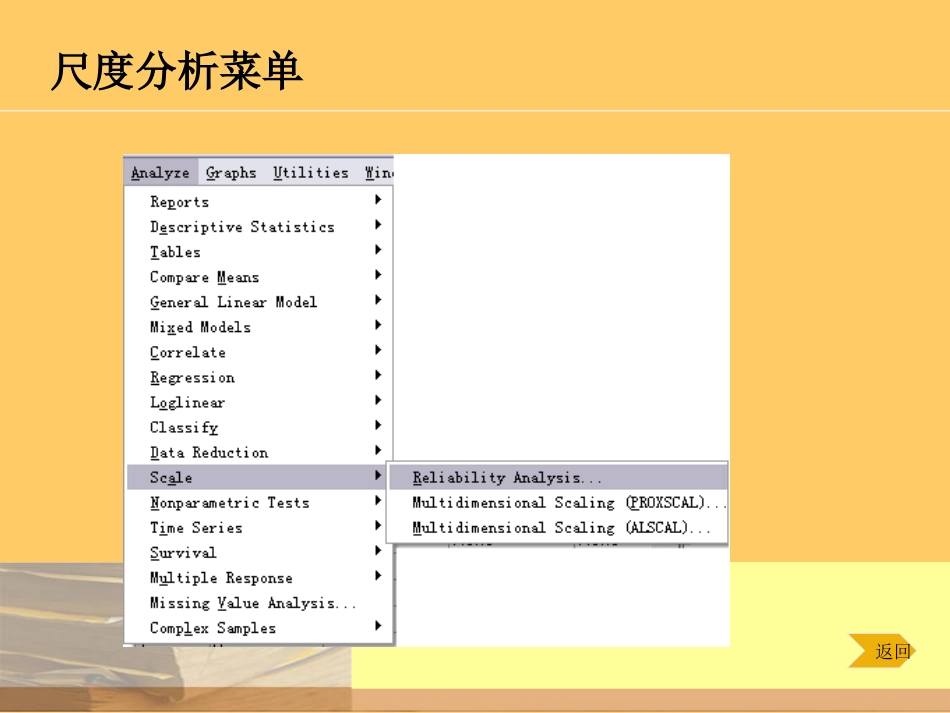 SPSS13尺度分析_第3页