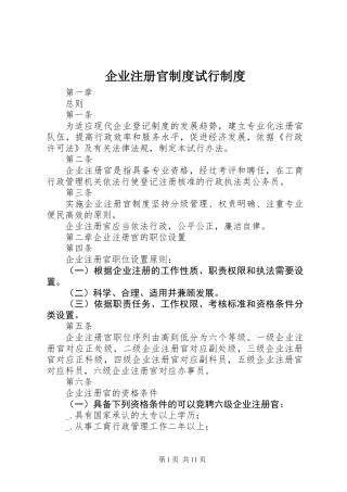 企业注册官制度试行制度