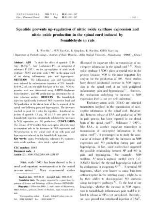Spantide抑制甲醛炎性痛大鼠脊髓一氧化氮合酶表达和一氧化氮含量的增加