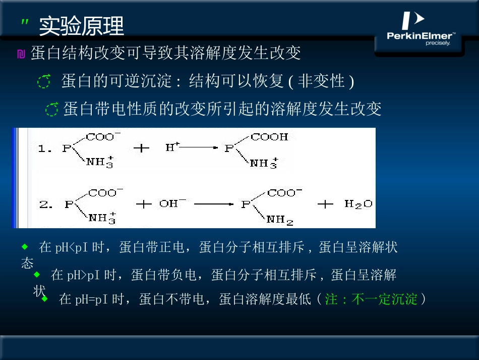 蛋白沉淀反应_第3页