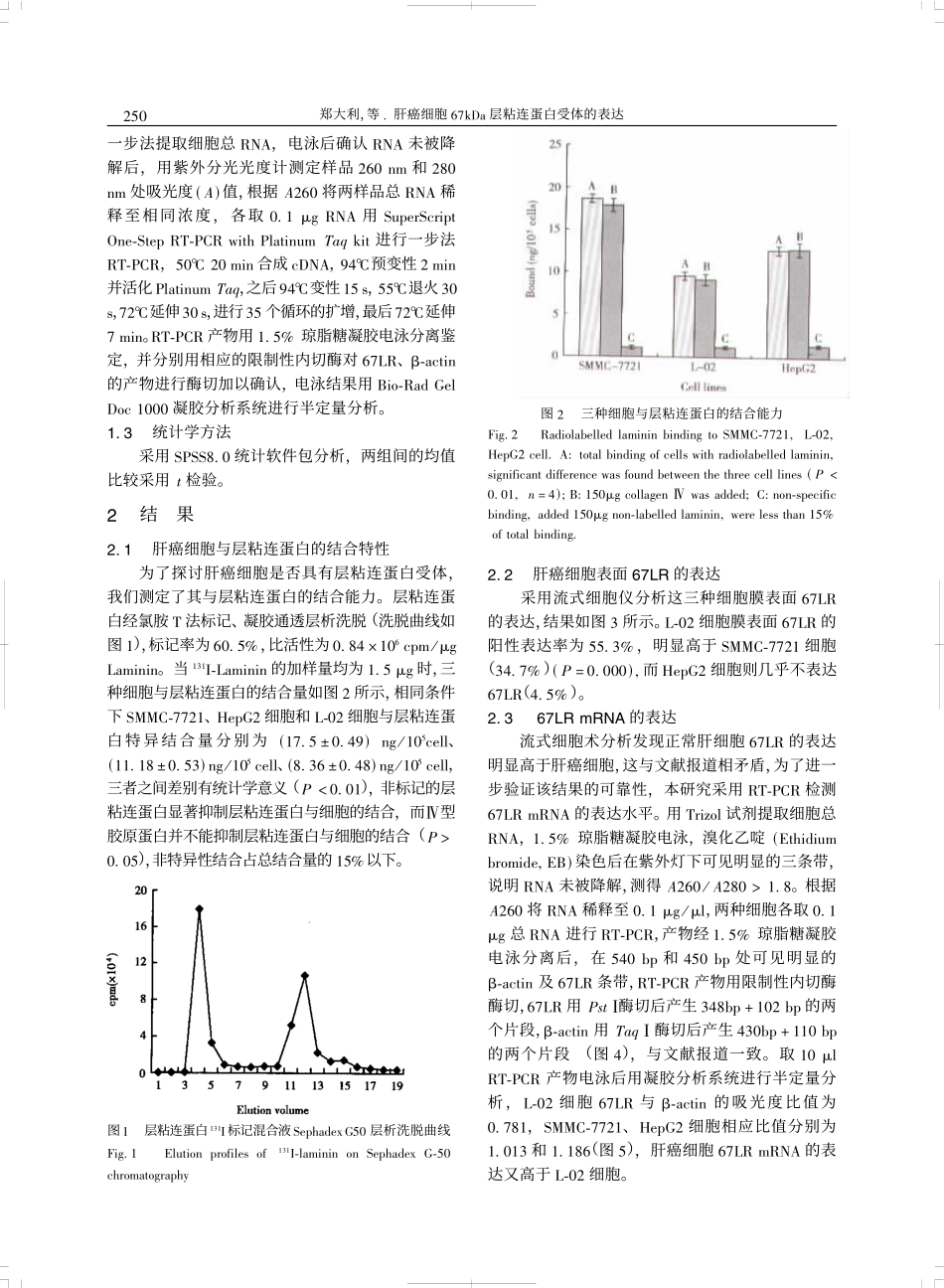 层粘连蛋白受体的表达 郑大利,彭碧文,黄清玲,林建银_第3页