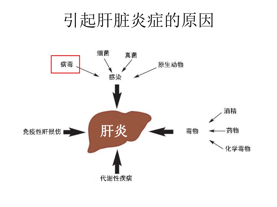 2016抗HBV综合疗法_第3页