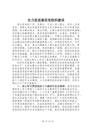 全力促进基层党组织建设