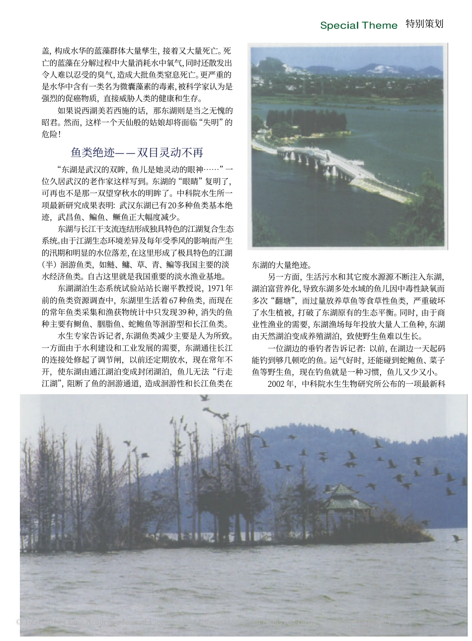 城市东湖失明之痛_第2页