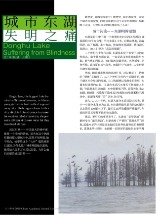 城市东湖失明之痛